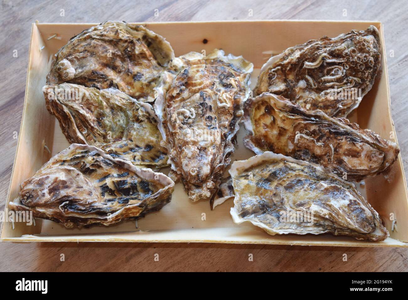 Alive oyster in shell hires stock photography and images Alamy