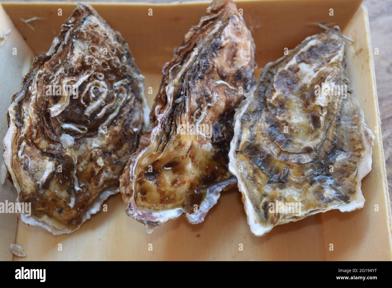 Alive oyster in shell hires stock photography and images Alamy