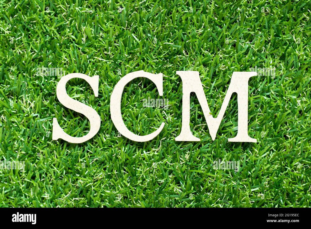 Alphabet letter in word SCM (Abbreviation of Supply chain management) on  green grass background Stock Photo - Alamy