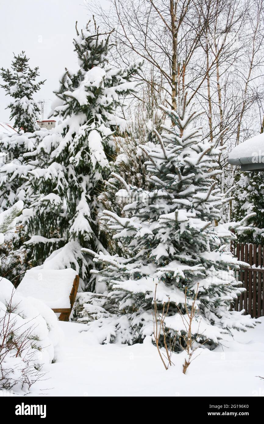 Under heavy snow hi-res stock photography and images - Alamy