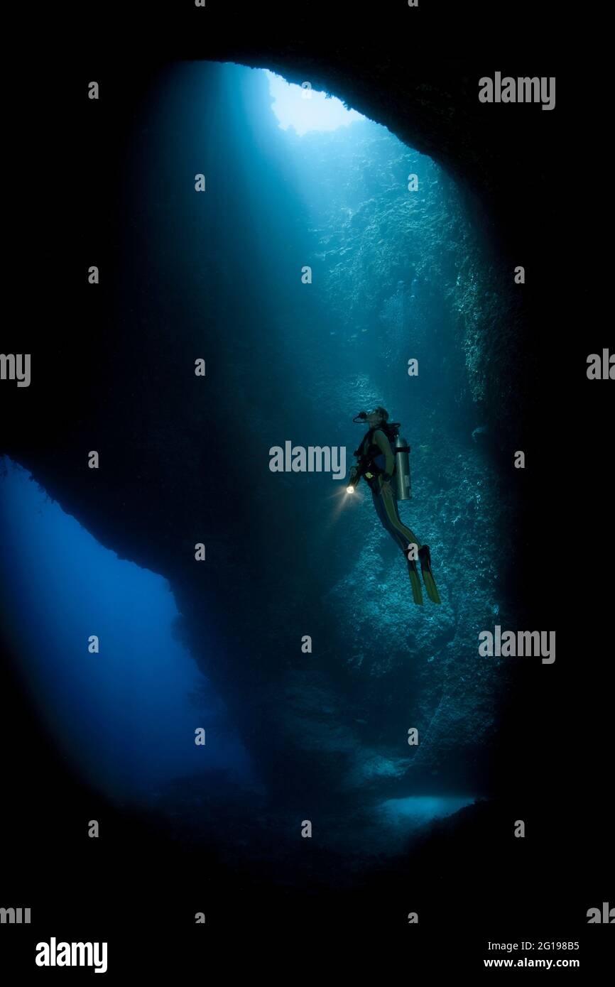 Scuba Diver in Blue Hole Cave, Micronesia, Palau Stock Photo