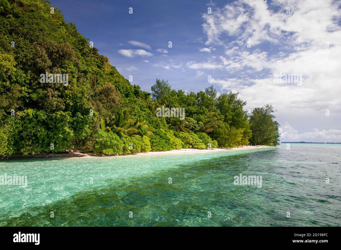 Palm-lined Beach at Palau, Micronesia, Palau Stock Photo