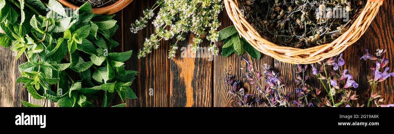 Harvesting of medicinal herbs. Alternative medicine. Stock Photo
