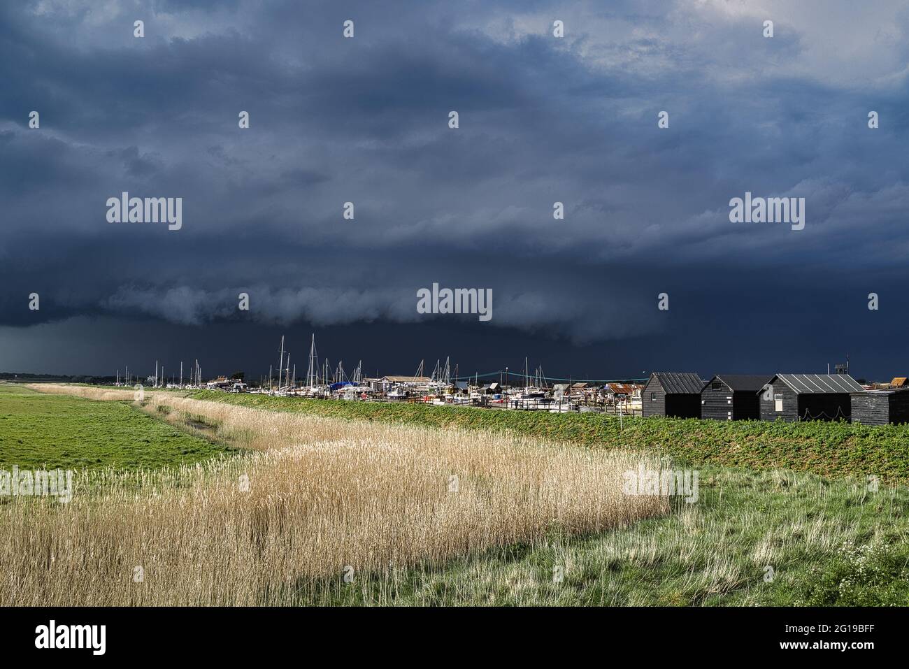 Reed beds next to Walberswick Quay during Thunderstorm Stock Photo