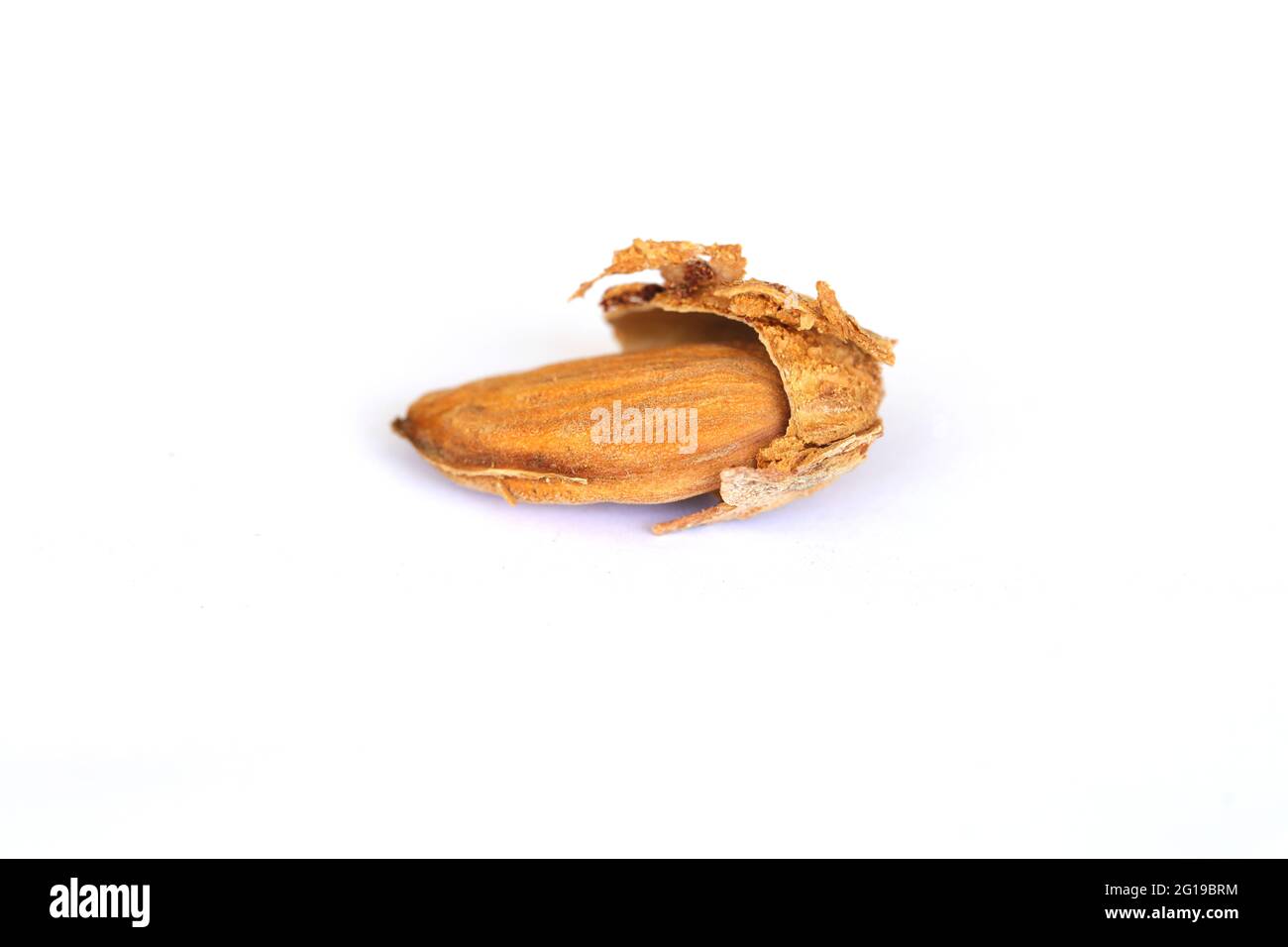 Almond with kernels Isolated on white background. Raw fresh almonds with shell Stock Photo Alamy