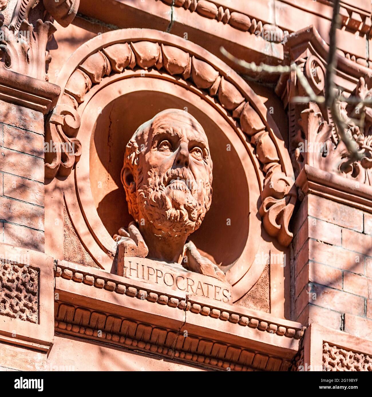 Stuyvesant polyclinic new york hires stock photography and images Alamy