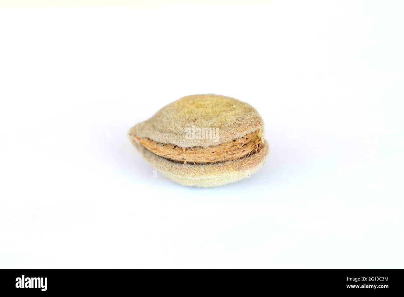 Almond with kernels Isolated on white background. Raw fresh almonds with shell Stock Photo Alamy