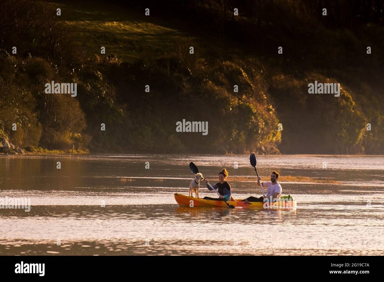 Kayakers and their pet dog paddling on the Gannel River on a staycation holiday as the sun sets in Newquay in Cornwall. Stock Photo