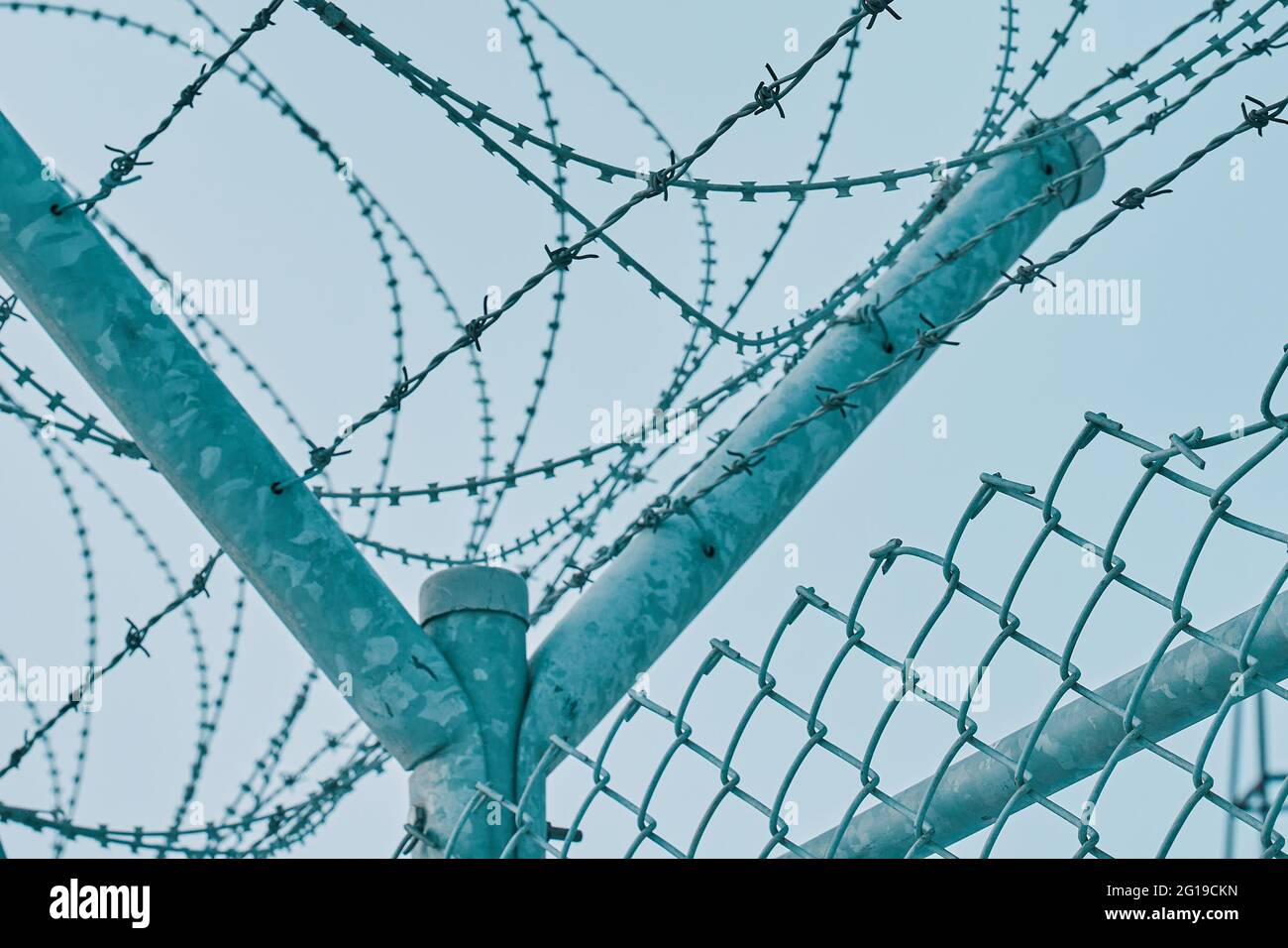 Barbed wire. Restricted area. Prison fence with metal cables with spikes.  Stock Photo