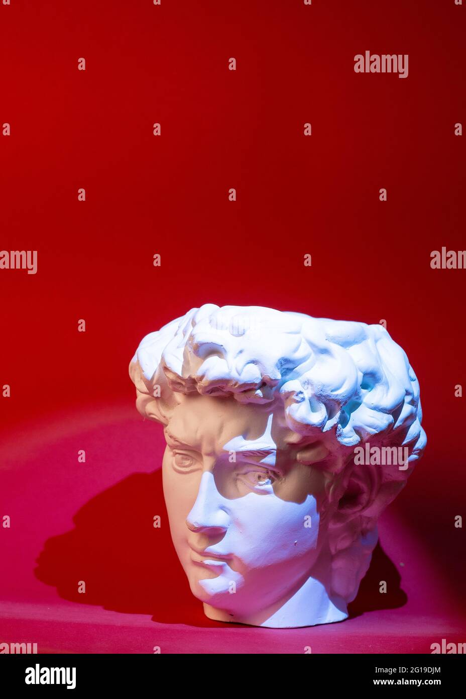 Gypsum statue of David's head. Michelangelo's David statue plaster copy