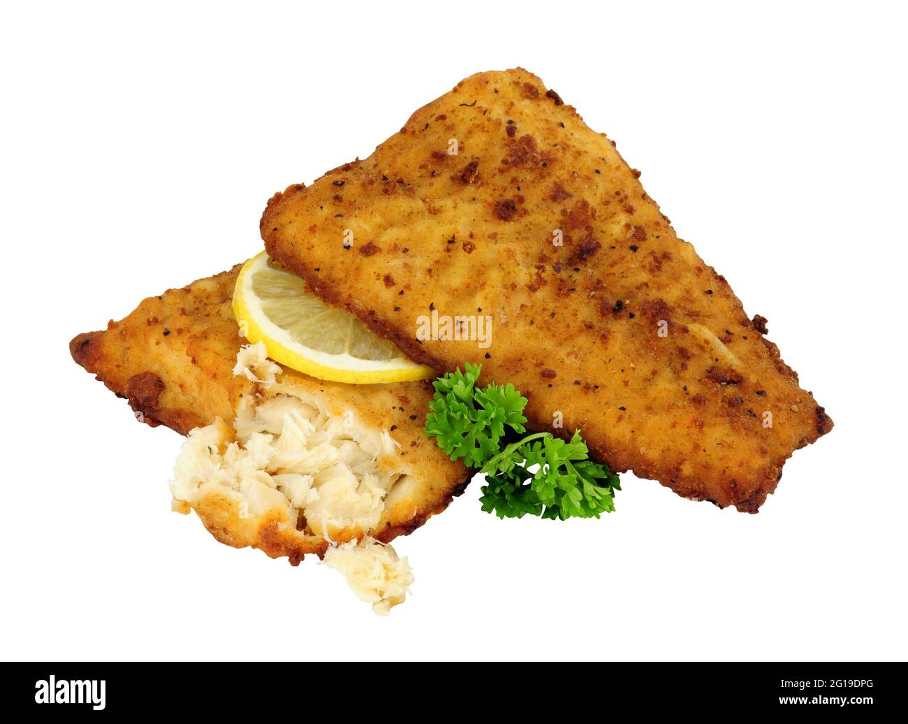 Fried battered haddock fish fillets isolated on a white background