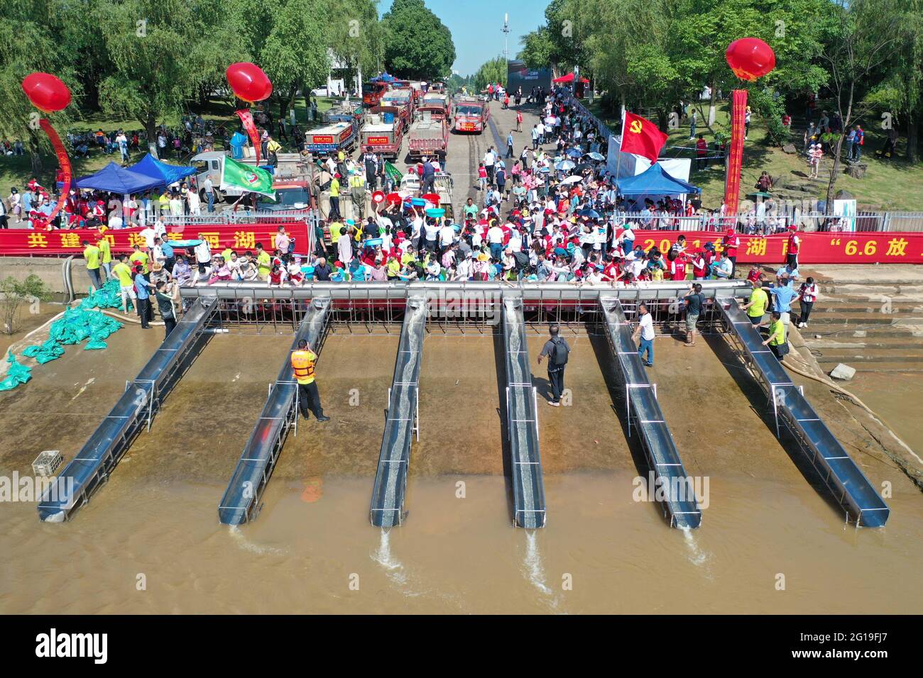 Changsha. 6th June, 2021. Aerial photo taken on June 6, 2021 shows people releasing fish fry at Juzizhou Park in Changsha, central China's Hunan Province. About 80.32 million fish fry were released into the Xiangjiang River in Changsha on Sunday. June 6 has been observed in China as the national fish releasing day to help promote ecological awareness. Credit: Xue Yuge/Xinhua/Alamy Live News Stock Photo