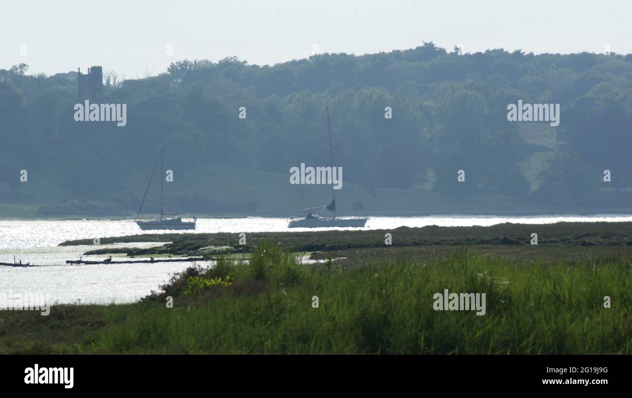 Sharpened reed hi-res stock photography and images - Alamy