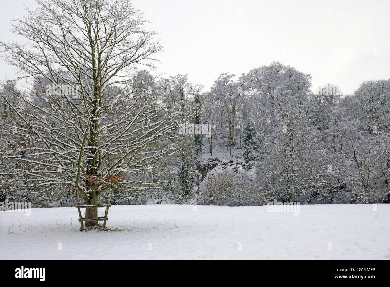 Winter Snow  in Erdigg Park, Wrexham, North Wales UK United Kingdom Stock Photo