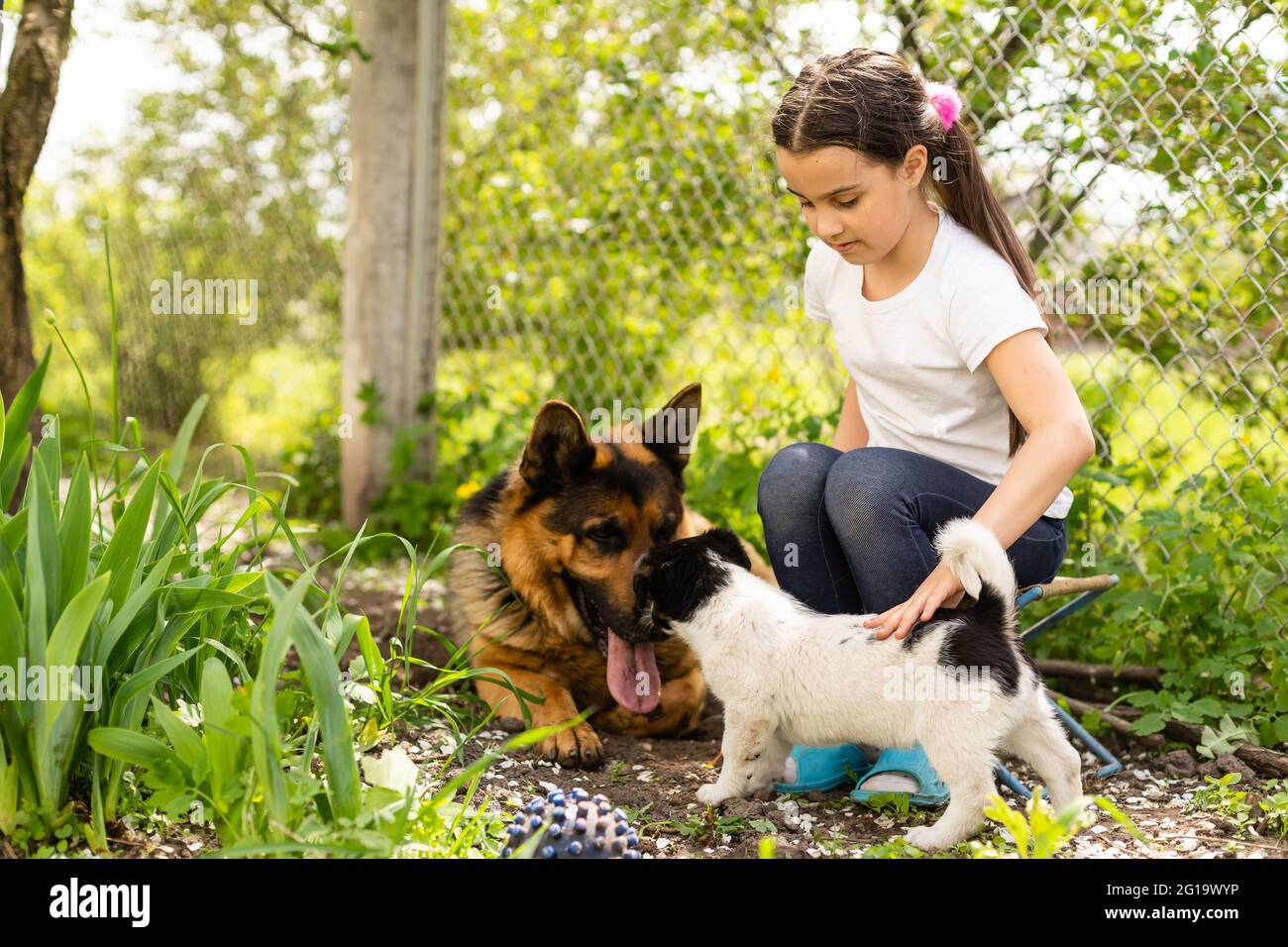 Portrait of little girl having good time in summer environment Stock ...