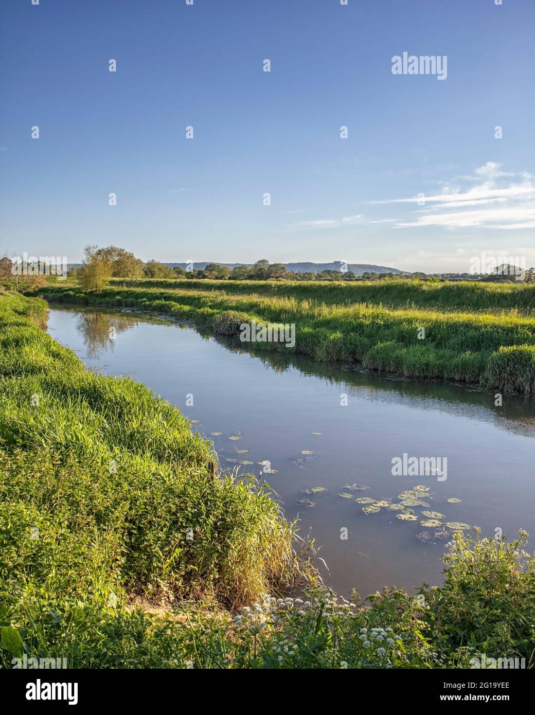 Along the banks of River Adur, West Sussex Stock Photo