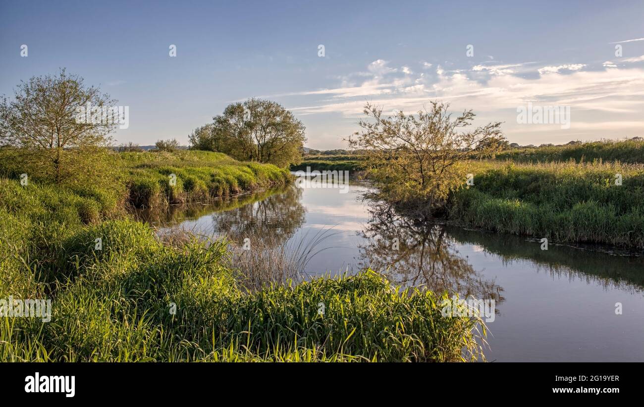 Along the banks of River Adur, West Sussex Stock Photo