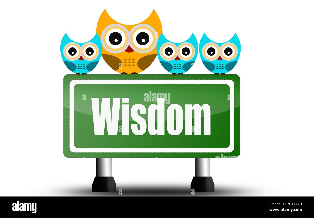 Wisdom road sign with cute owls, 3D rendering Stock Photo Alamy