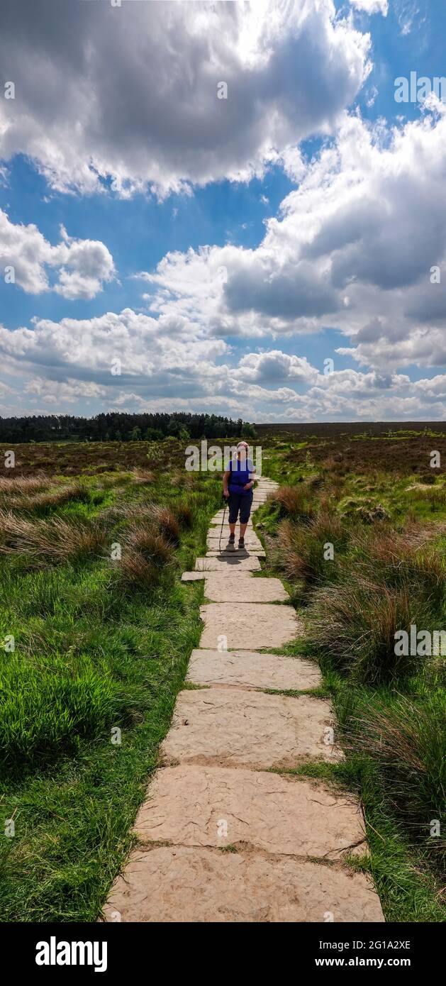 Female walker hiker on flagstone path, near Sheffield, South Yorkshire, North of England, UK Stock Photo