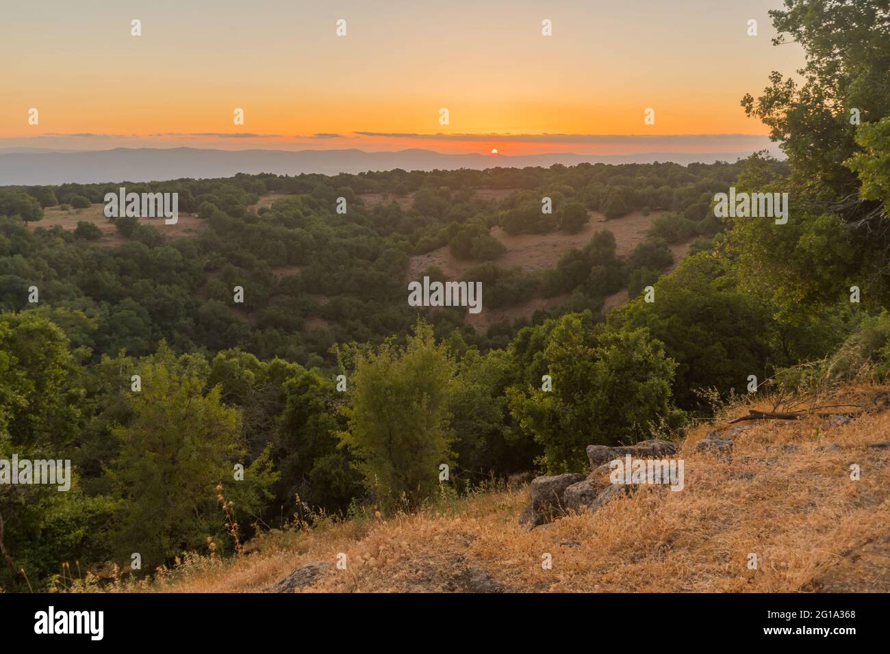 Sunset view of the volcanic landscape and the Big Joba (Jupta, pit crater) in Odem Forest, the Golan Heights, Northern Israel Stock Photo
