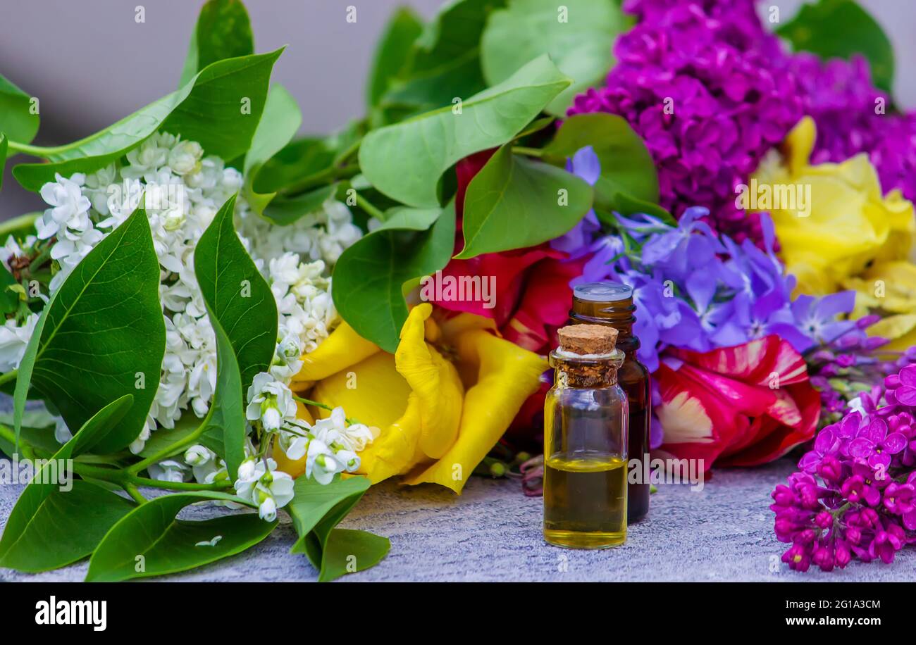 Lilac Essential Oil Stock Photo - Alamy