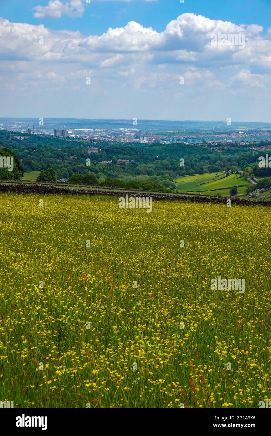 The green city of Sheffield, seen from the west, Ringinglow. South Yorkshire, North of England, UK Stock Photo