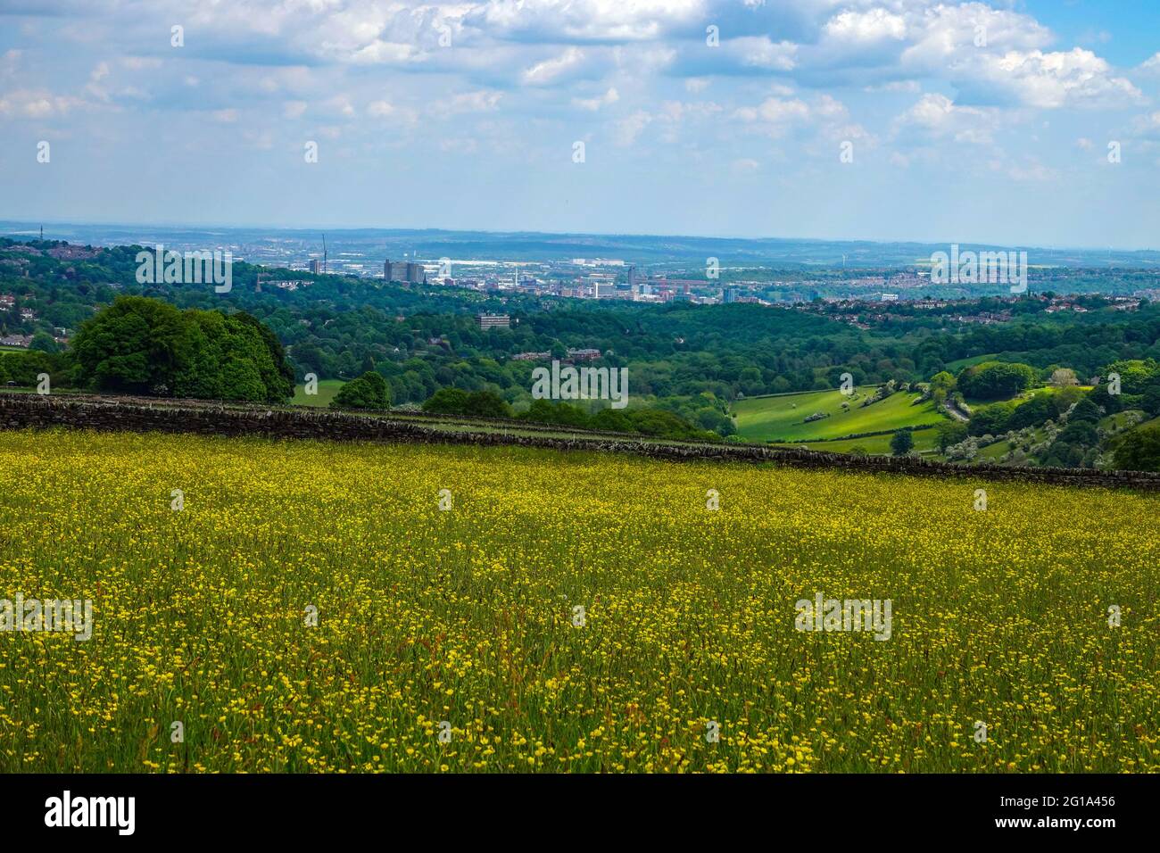 The green city of Sheffield, seen from the west, Ringinglow. South Yorkshire, North of England, UK Stock Photo