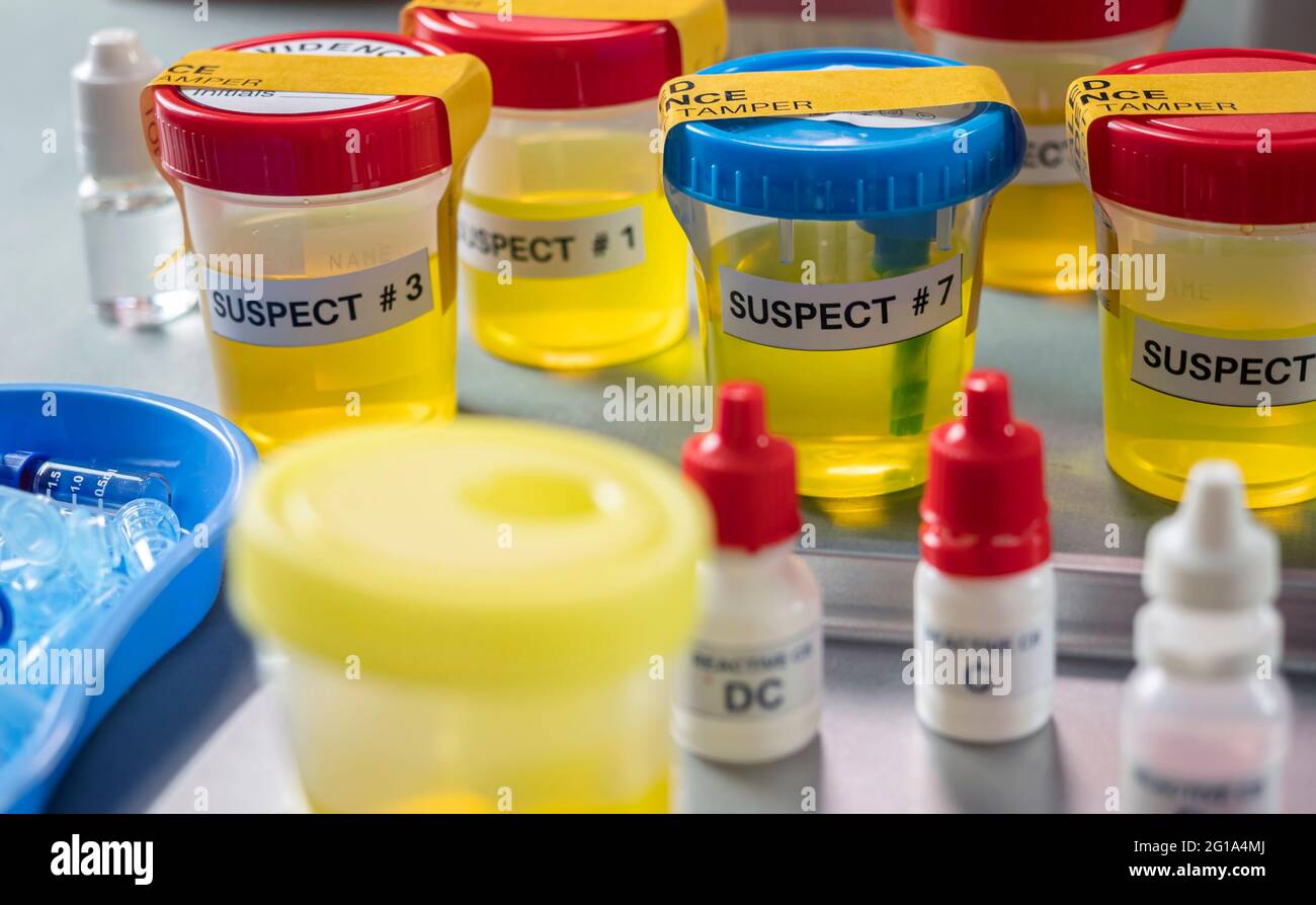 Various containers with human urine, crime lab, murder suspects labelled on each, conceptual image Stock Photo