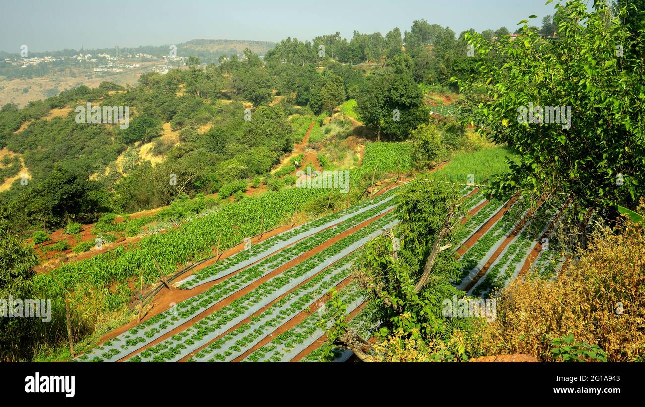 Waterfall at Panchgani, Maharashtra, India Stock Photo - Alamy