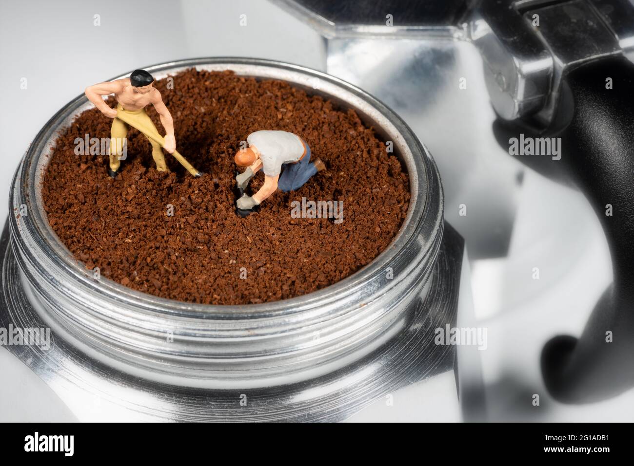 Finely ground coffee pressed on the filter of a moka pot by two miniatures. Stock Photo