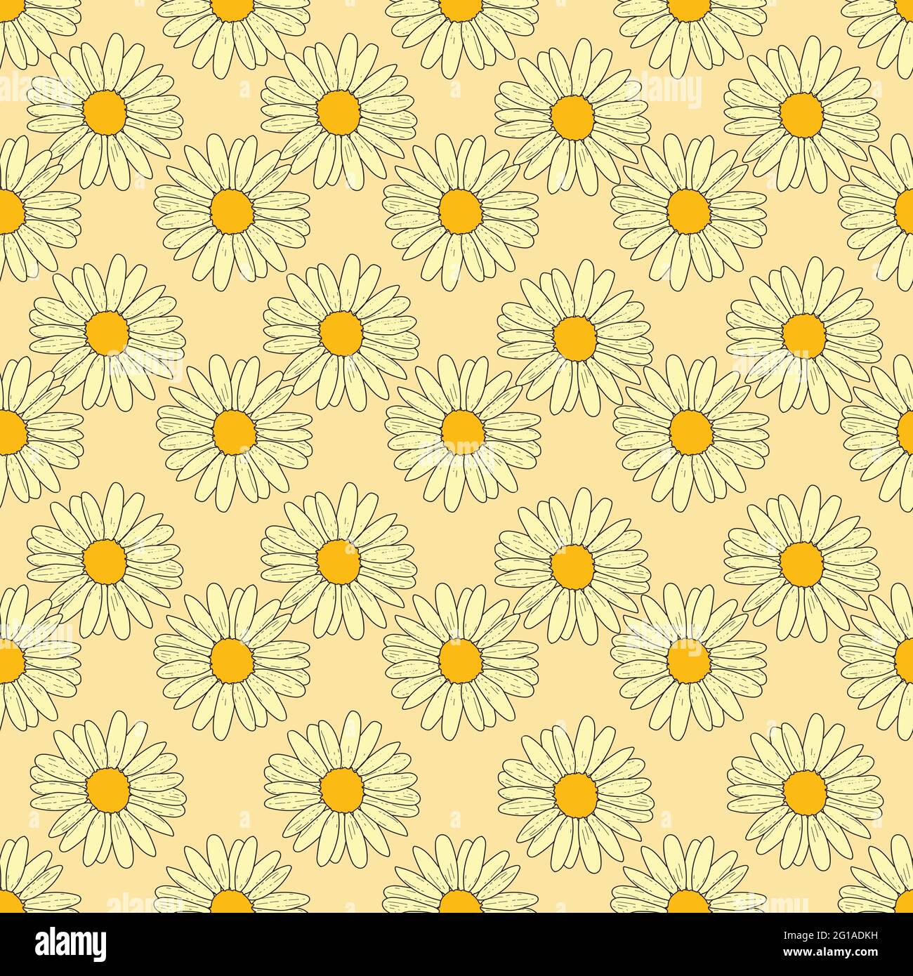 Vector white background daisy flowers, wild flowers and butterflies ...