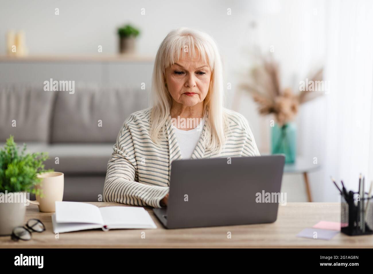 Focused mature woman sitting ot desk and working on computer Stock Photo