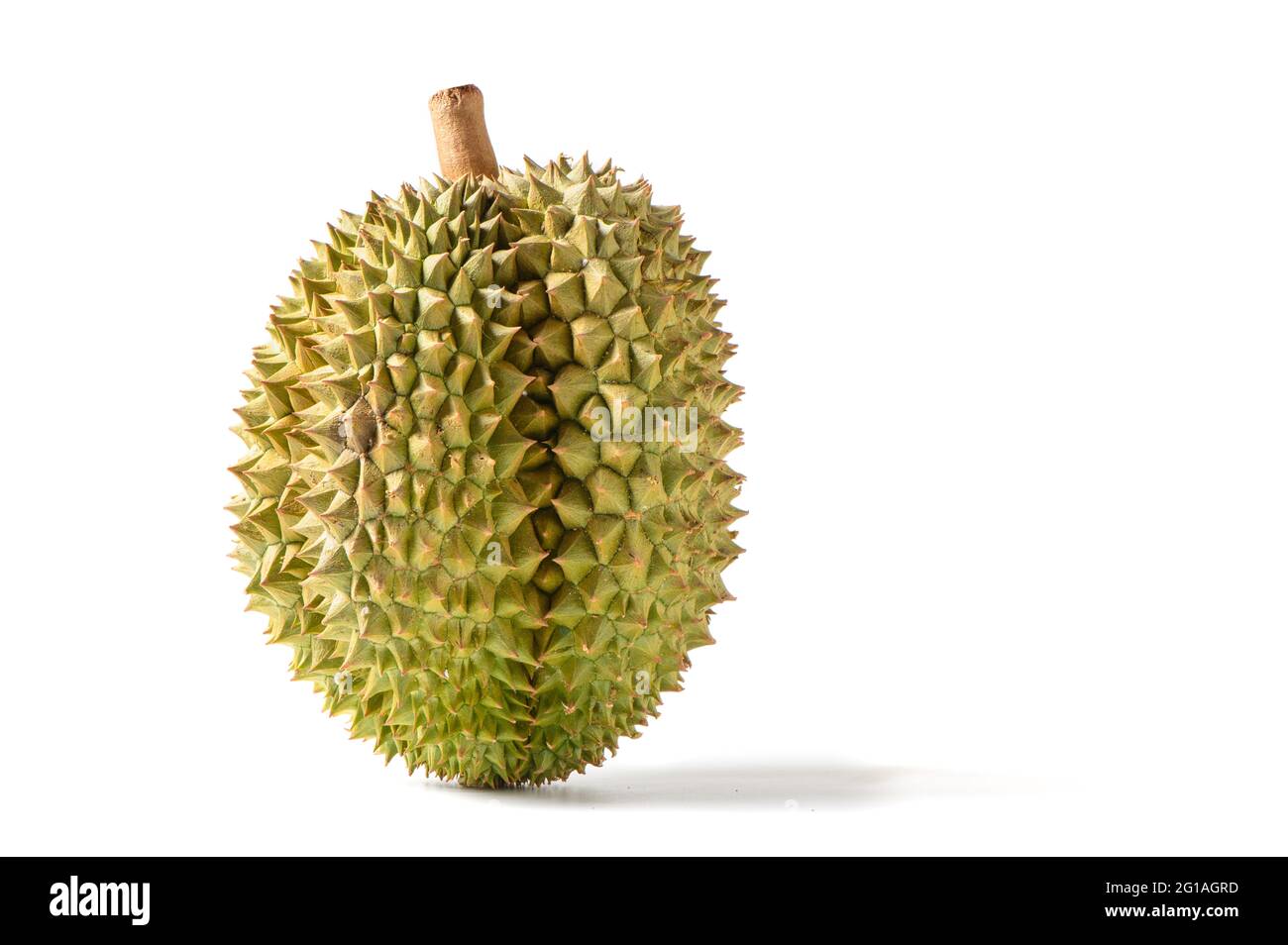 Ripe Monthong Durian fruit isolated on white background, King of fruits in Thailand Stock Photo