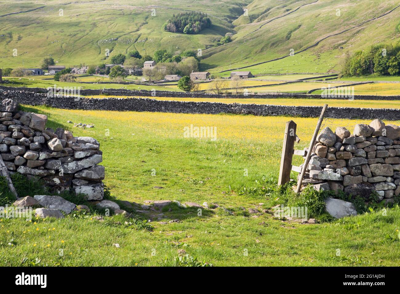 Looking over Littondale meadows towards Halton Gill, Yorkshire Dales, UK Stock Photo