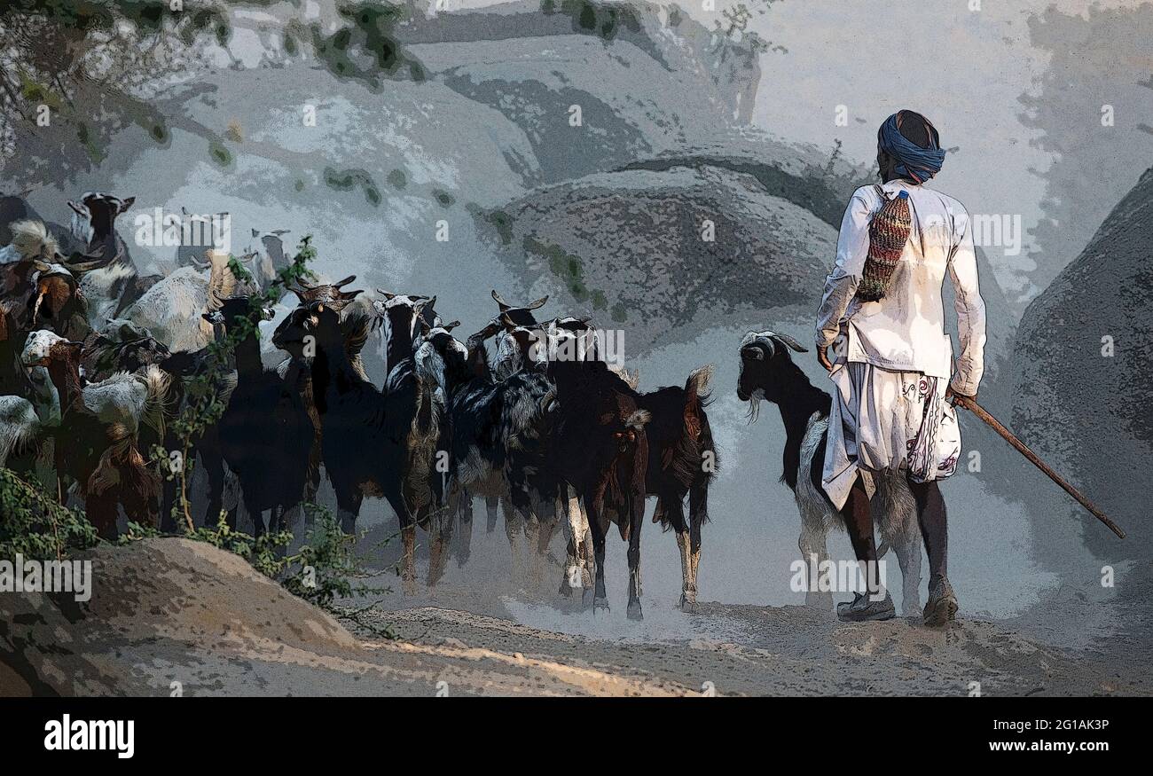 Rabari tribesman shepherd hi-res stock photography and images - Alamy