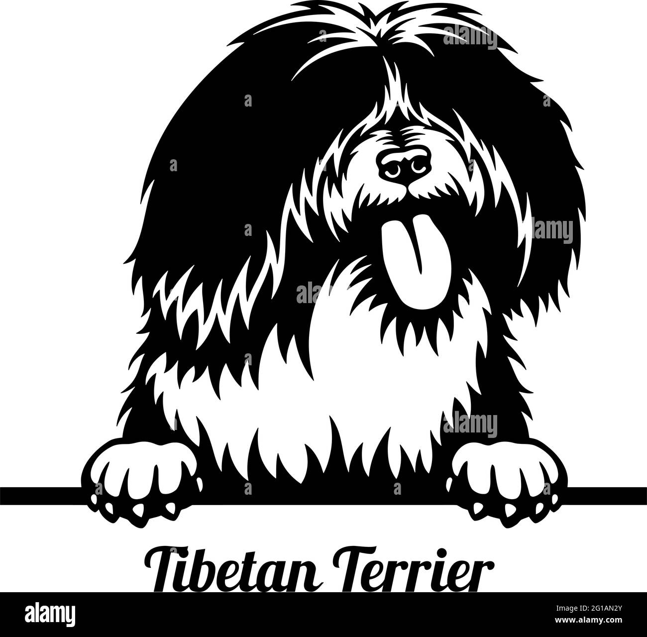 Tibetan terrier Black and White Stock Photos & Images - Alamy