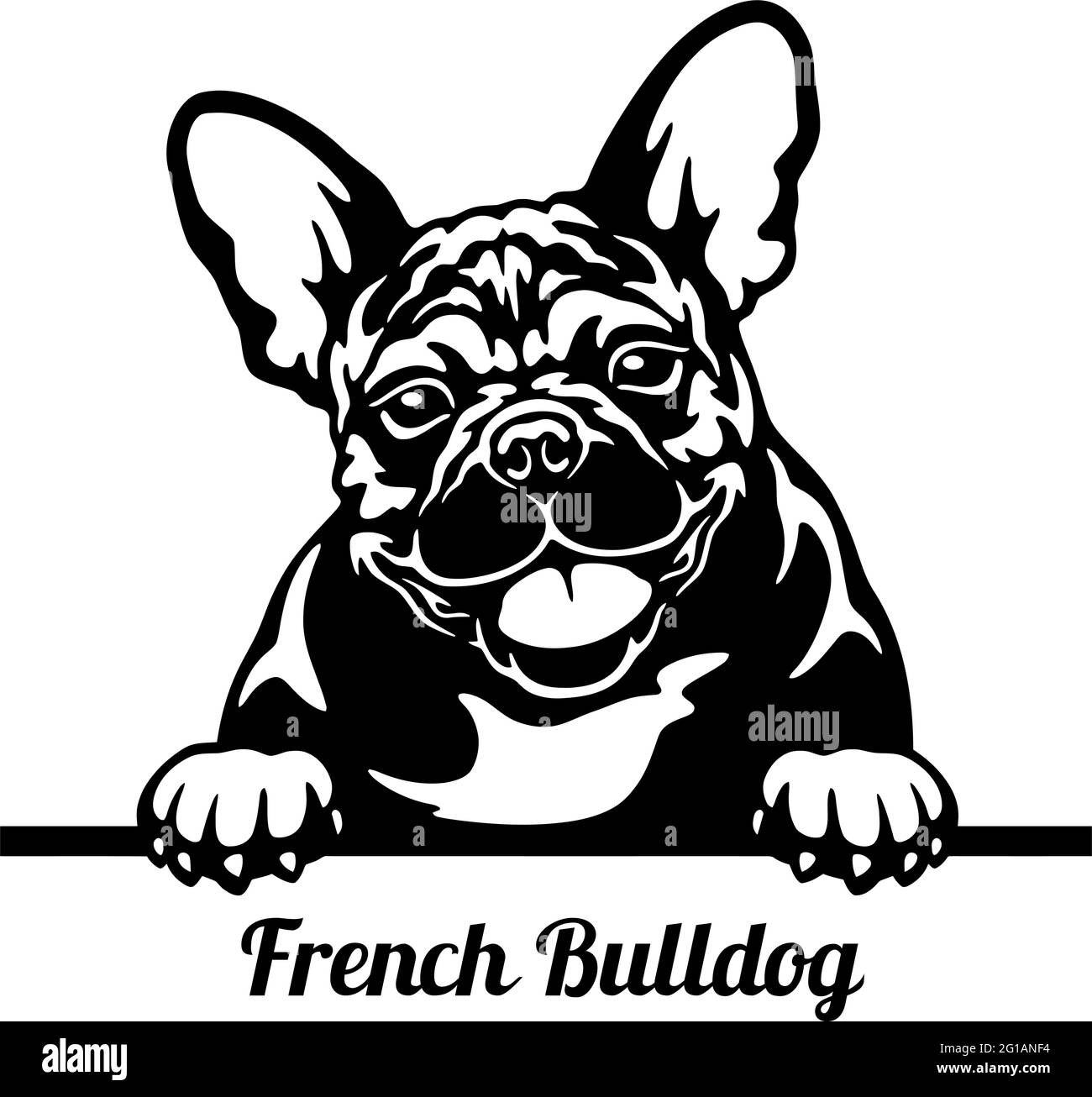 french bulldog vector