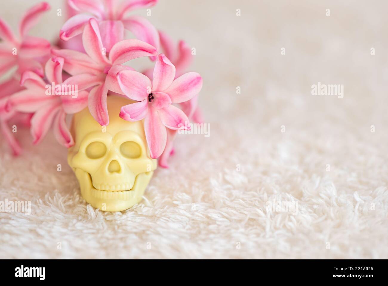 Mexican colorful scull day of dead with flowers on white fluffy fabric Stock Photo