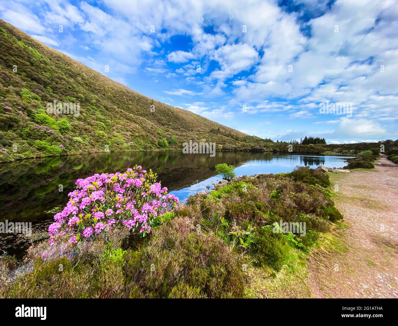 Bay Lough lake in Clogheen, county Tipperary in Ireland. The lake sits on a slope in the midst of the Knockmealdown mountains, looks like a mirror due Stock Photo