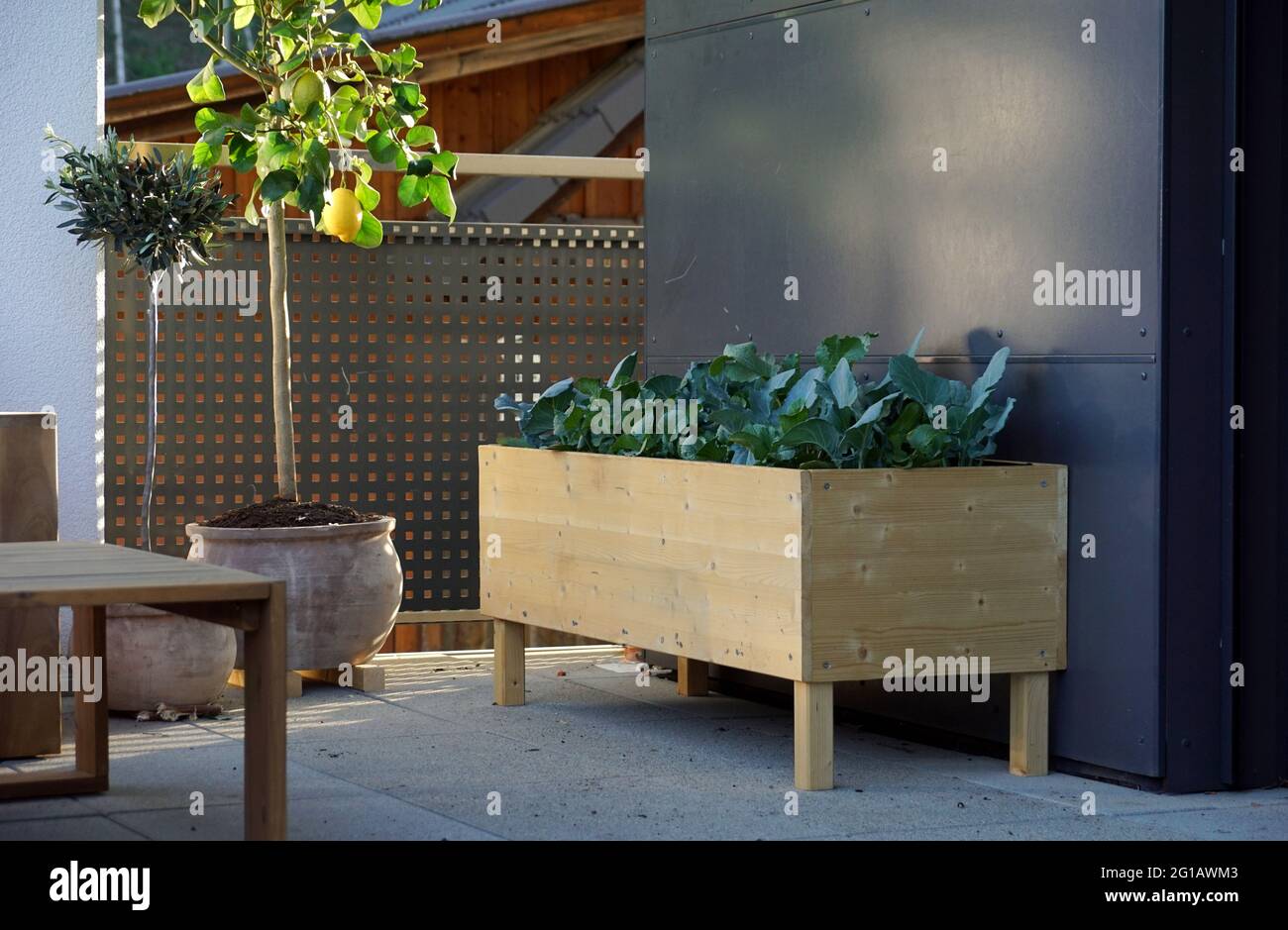 Raised bed vegetables flowers hi-res stock photography and images - Alamy