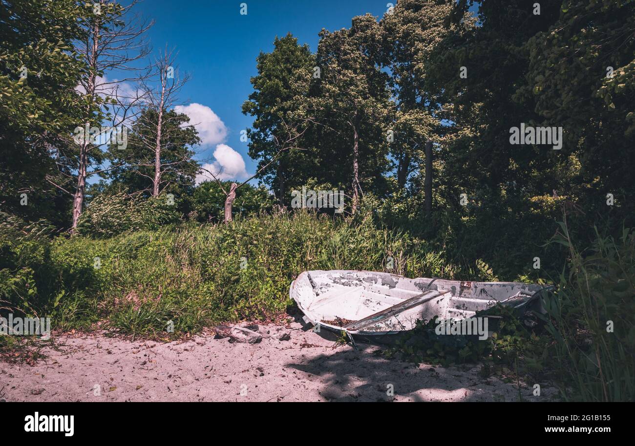 Ein einsames, zerstörtes, verrottetes Angelboot liegt gestrandet mittem im Wald. Altes Ruderboot am Strand vom Zarnowitzer See im Sommer Stock Photo