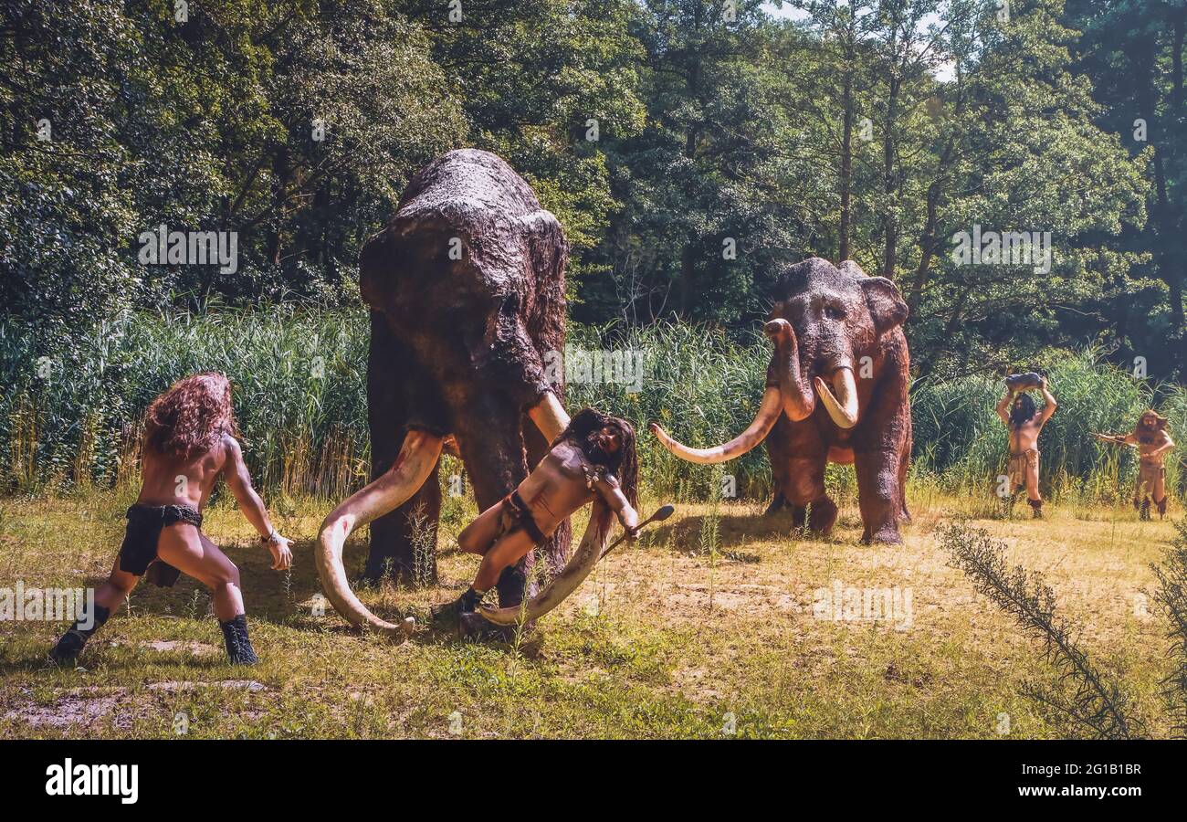 Mammut auf der Jagd, aufgenommen in freier Wildbahn und zu einem kunstvollen Pop-Art Druck mit Photoshop verfeinert. Uhrzeit Fotografie Stock Photo