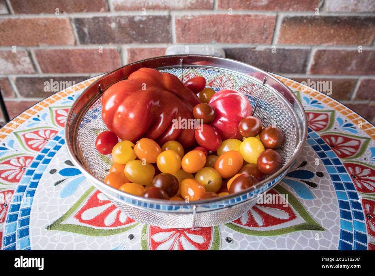 One heirloom tomato among cherry tomatoes on a ceramic table. Stock Photo