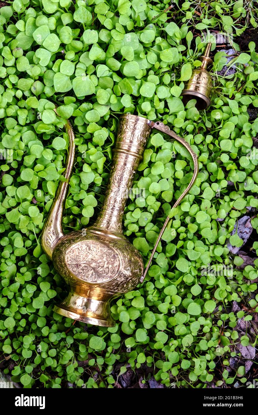 close-up of an antique golden magic lamp in the grass Stock Photo