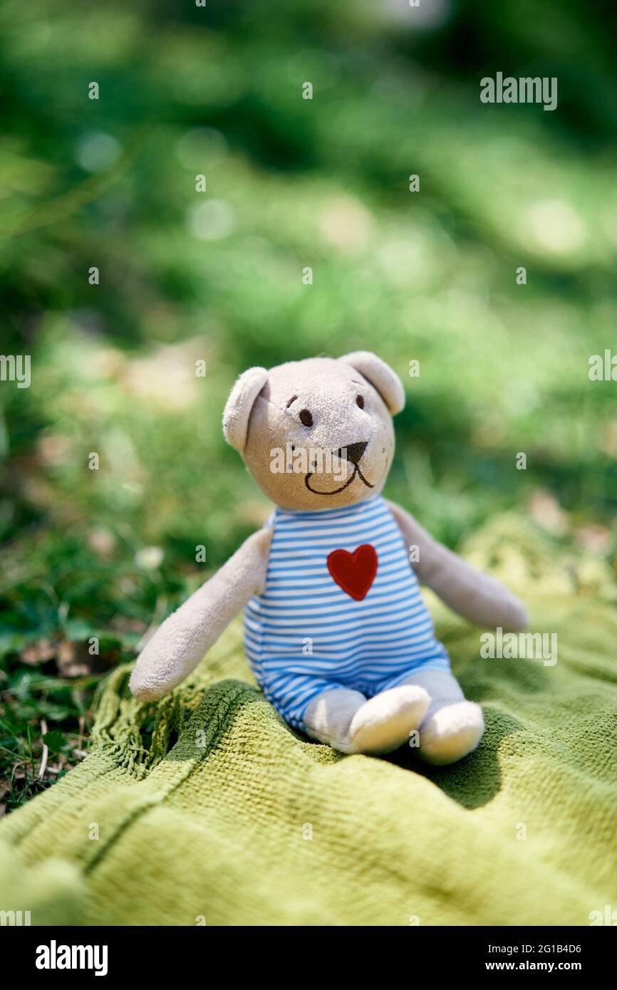 Teddy bear sits on a green blanket on the lawn. Close-up Stock Photo ...