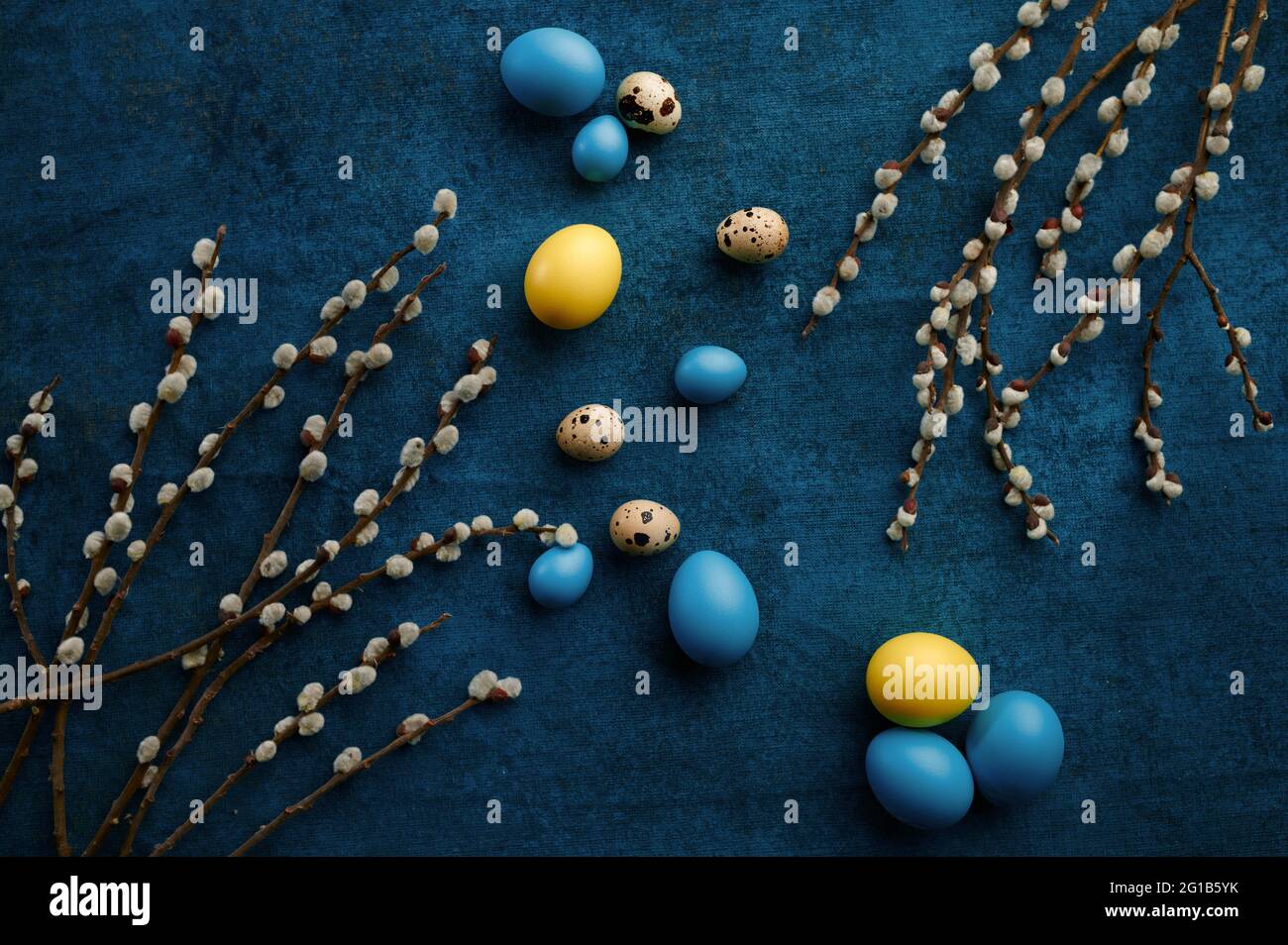 Willow branch and easter eggs on blue background Stock Photo