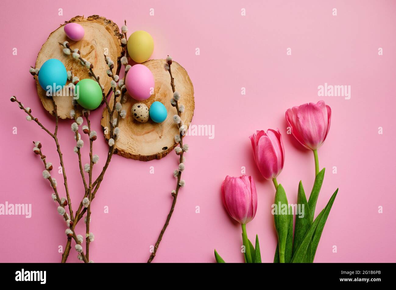 Willow, tulips and easter eggs on pink background Stock Photo