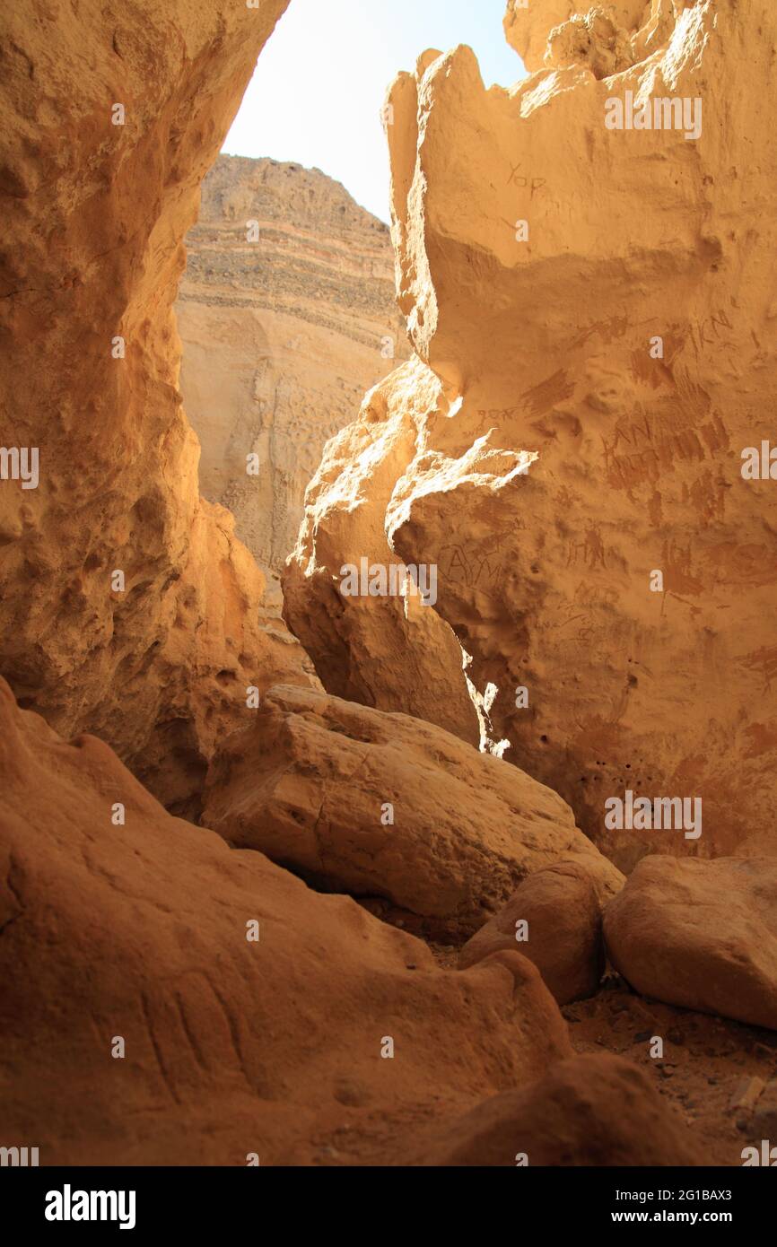 Narrow dry gorge, ravine or canyon of Nachal Ada near Paran or Faran with it's steep walls of rocks made of yellow sandstone, Meyshar, Negev Desert. Stock Photo