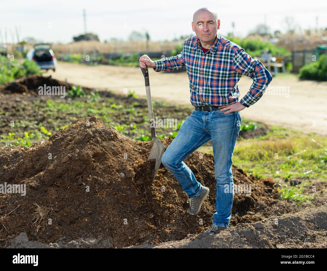 Middle-aged man scattering peat shovel on garden beds Stock Photo - Alamy