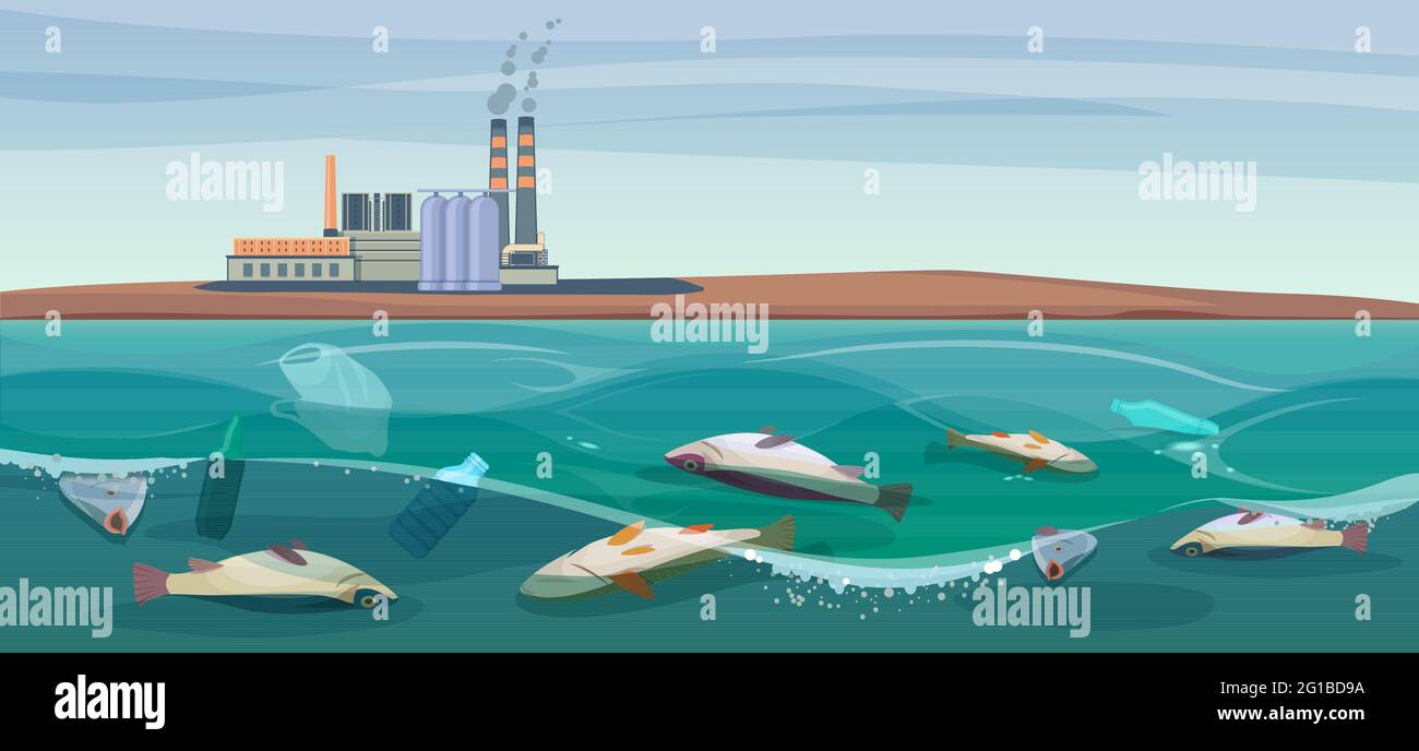 Poisoned dead fish in a dirty river. Plastics waste and toxic chemicals